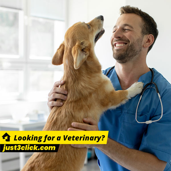 Veterinary